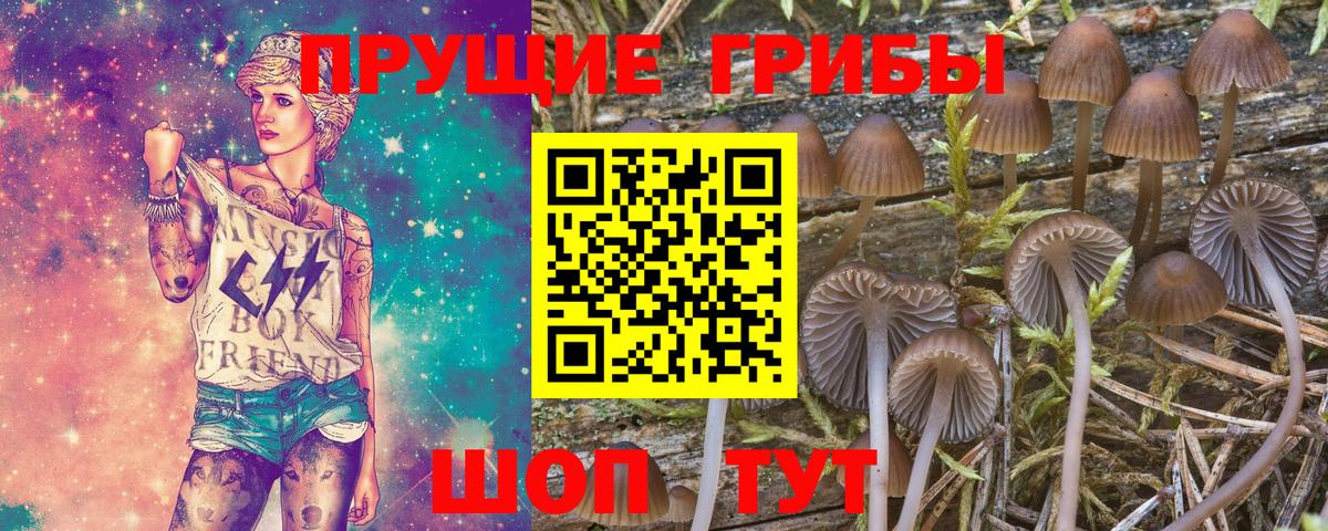 хочу   Галлюциногенные грибы Cubensis  Вход с VPN  Миасс 